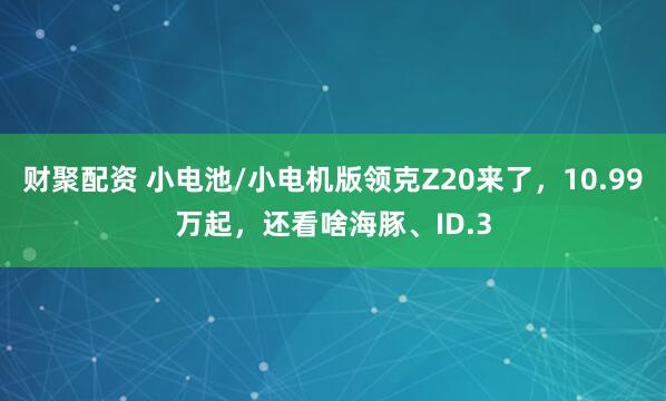 财聚配资 小电池/小电机版领克Z20来了，10.99万起，还看啥海豚、ID.3