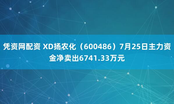 凭资网配资 XD扬农化（600486）7月25日主力资金净卖出6741.33万元
