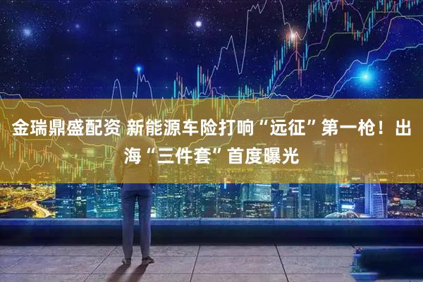 金瑞鼎盛配资 新能源车险打响“远征”第一枪！出海“三件套”首度曝光