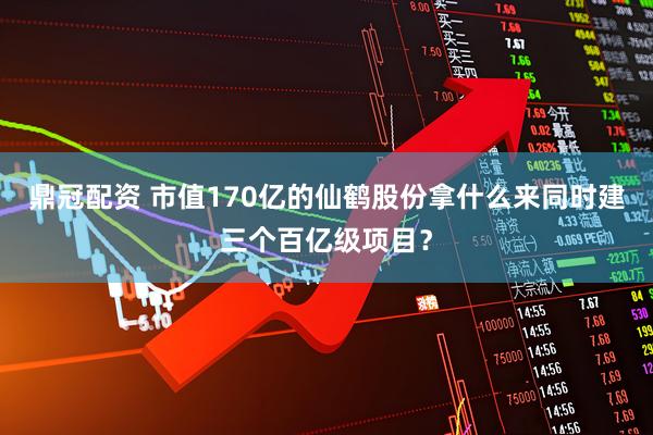 鼎冠配资 市值170亿的仙鹤股份拿什么来同时建三个百亿级项目？