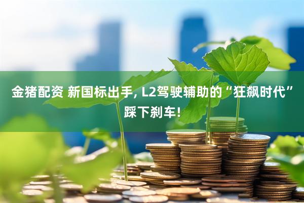 金猪配资 新国标出手, L2驾驶辅助的“狂飙时代”踩下刹车!